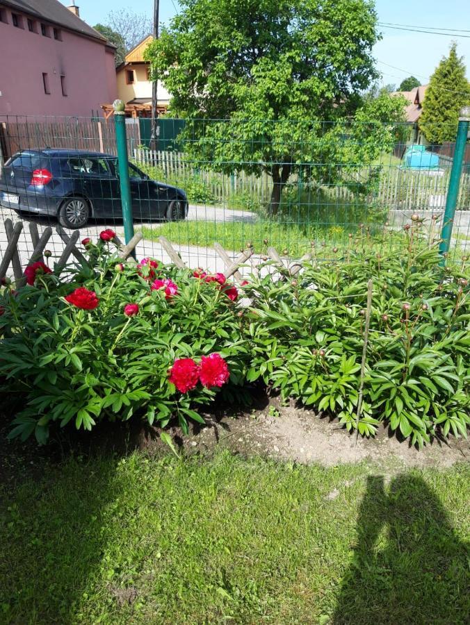 Apartment Magdalena With Garden And Free Bicycles Zsolna Kültér fotó